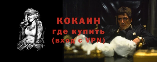 ГАЛЛЮЦИНОГЕННЫЕ ГРИБЫ Абаза