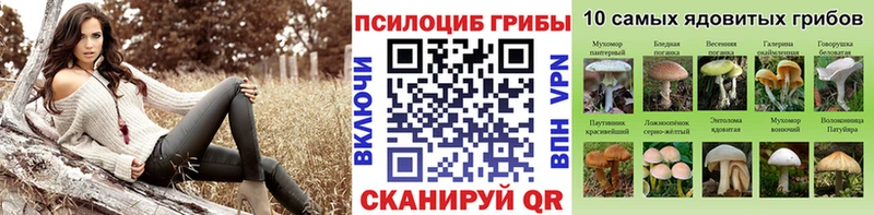 Псилоцибиновые грибы мухоморы  дарнет шоп  Козловка 